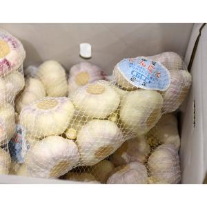大玉　新にんにく　香川県産 3Lサイズ 約1kg（目安：8〜10個）