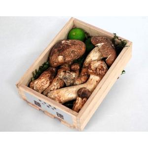 国産まつたけ（松茸）無選別品　約300g（無選別・多少の折れあり）