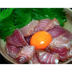 『天然マグロ　脳天』(メバチ・キハダ)　1kg（目安として8〜12本程度）　海域：太平洋ほか
