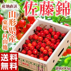 山形県産 「さくらんぼ 佐藤錦」 秀品 Mサイズ 約600ｇ 産地箱 産地直送 ※常温 送料無料