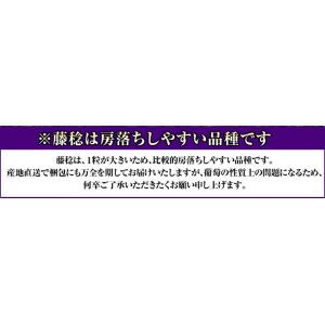 大粒黒ぶどう 藤稔 (ふじみのり) 山梨県産 ...の詳細画像3