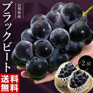 大粒黒ぶどう ブラックビート 山梨県産 マル秀〜秀品 3L×2房 計約1.1kg ※冷蔵 送料無料
