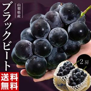 種無しぶどう 山梨県産　ブラックビート 大房　2房　合計約1.1kg　※冷蔵 黒葡萄 送料無料｜tsukijiichiba