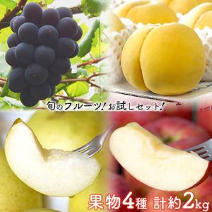 『ナガノパープルと、伊達の黄桃、二十世紀梨、おぜの紅りんご』 全4品 計約2kg 簡易包装 ※冷蔵 送料無料｜tsukijiichiba