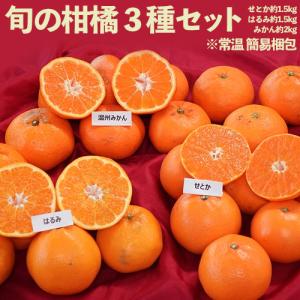 せとか入り柑橘3種（せとか約1.5kg、はるみ約1.5kg、みかん約2kg）合計約5kg ※常温 簡易梱包 ちょっと訳あり　送料無料｜tsukijiichiba