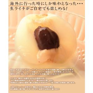 生ライチ 玉荷包 ぎょっかほう 台湾産 約1k...の詳細画像2