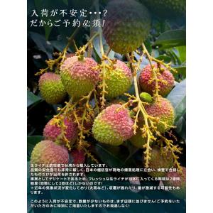生ライチ 玉荷包 ぎょっかほう 台湾産 約1k...の詳細画像3