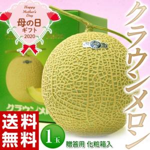 母の日ギフト 静岡県産 クラウンメロン 白等級以上 約1.1kg 化粧箱 常温 送料無料 カーネーション（造花）・メッセージカード付き｜tsukijiichiba