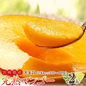 マンゴー 宮崎県産 完熟マンゴー 2Ｌサイズ 2玉（1玉あたり350〜449g） 常温 送料無料 簡易包装｜tsukijiichiba