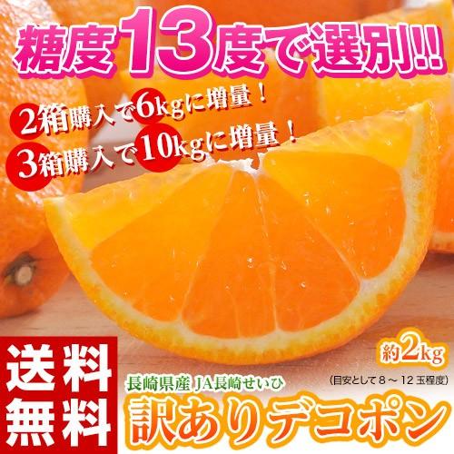 【カード・代引き限定】訳あり品 長崎県産　デコポン 約2kg（目安として8〜12玉程度）送料無料 ≪...