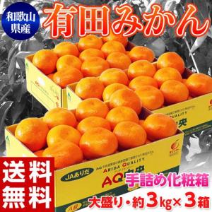 手詰め 有田みかん 2Ｌサイズ 約3kg×3箱（計約9kg） JAありだ ＡＱ共選 和歌山県産 ※常温 送料無料