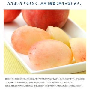糖度13度選別 伊達の桃 蜜姫(みつひめ) 福...の詳細画像4