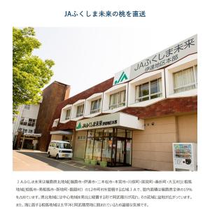 糖度13度選別 伊達の桃 蜜姫(みつひめ) 福...の詳細画像5