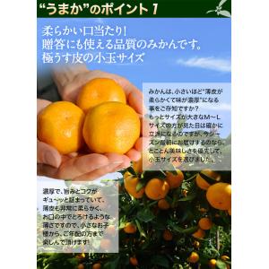 【カード又は代引き限定】JAからつ 『うまか美...の詳細画像4