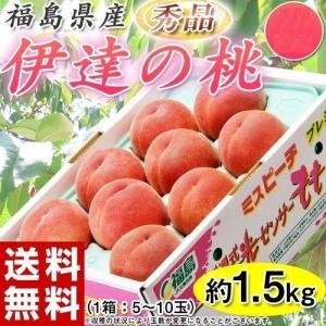 伊達の桃 秀品 福島県産 送料無料 約1.5kg(5〜10玉)　豊洲出荷　ふくしまプライド。体感キャンペーン（果物/野菜）