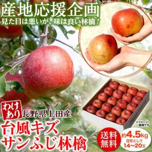 りんご 林檎 リンゴ 産地応援 台風キズサンふじ 約4.5kg 目安として14〜20玉 長野県上田産 送料無料 常温｜tsukijiichiba