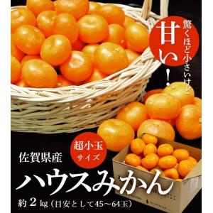 超小玉 ハウスみかん 佐賀県産 JAからつ 3...の詳細画像1