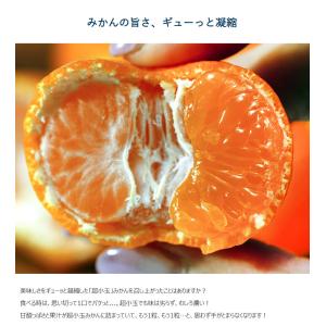 超小玉 ハウスみかん 佐賀県産 JAからつ 3...の詳細画像2