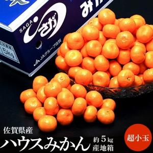 ハウスみかん 佐賀県産 JAからつ 約5kg (目安として120〜160玉） 超小玉 3〜4S 簡易梱包 ※常温 送料無料