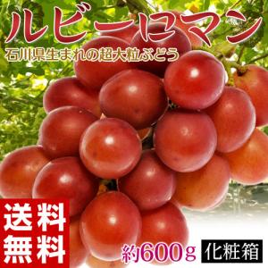 石川県産 大粒ぶどう「ルビーロマン」約600g 化粧箱入 冷蔵 送料無料｜tsukijiichiba