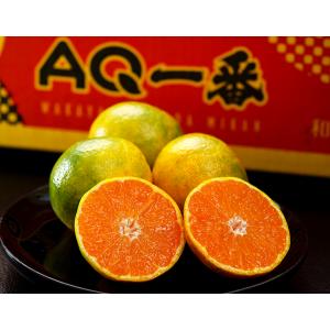 ゆら早生みかん「AQ一番」【糖度12度選果】和歌山県有田産 小玉 S〜２S 約5kg 特秀品 産地箱 ※常温　送料無料
