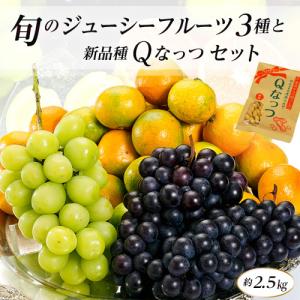 旬のジューシーフルーツ3種＋種Qなっつ　セット 約2.5kg　※常温　