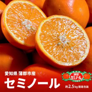 JA蒲郡市 『セミノール』愛知県蒲郡市産 柑橘 S〜Lサイズ 約2.5kg (17〜27玉程度) 簡易包装 ※常温 送料無料｜tsukijiichiba