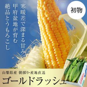 初物 とうもろこし『ゴールドラッシュ』山梨県産 2Lサイズ 2.5kg以上（6本入り）※冷蔵　