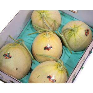 『夕張メロン』北海道産 共選品 良以上 約8kg 風袋込み(4〜7玉)　産地箱