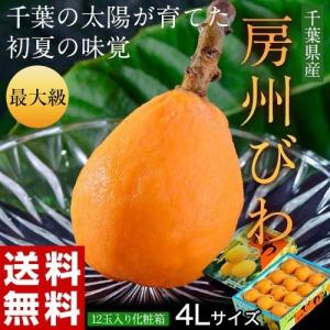 びわ ビワ 千葉県産 房州びわ 4L 12玉入り　約1.3kg　送料無料　※冷蔵