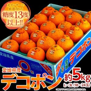 柑橘 デコポン 糖度13度基準 愛媛県三崎産 デコポン L〜3Lサイズ 約5kg 目安として18〜24玉 送料無料 常温｜tsukijiichiba