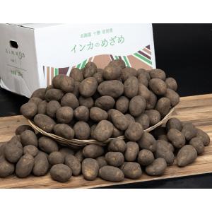 インカのめざめ 北海道産 じゃがいも Ｓ〜Mサイズ 約10キロ