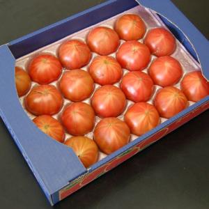 【緊急入手の高糖度トマト】茨城県産　KEKトマト（A品限定）　約3.5キロ　（16〜18玉）　同梱不可