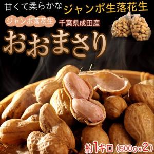 高梨さんのジャンボ落花生『おおまさり』千葉県成田産