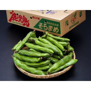 そらまめ 鹿児島県産 M〜Lサイズ 約2kg 簡易箱 ※常温