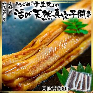 アナゴ 穴子 長崎県 対馬西沖産 あなご船「幸生丸」活〆
