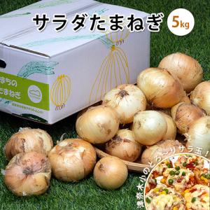 『津奈木小のみんなが作った サラダ玉ねぎ』熊本県津奈木町産 約5kg（サイズ混合）産地箱入※常温  送料無料｜tsukijiichiba