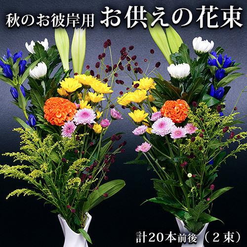秋のお彼岸用『お供えの花束』菊中心 計20本前後（10本前後ずつ１束）簡易包装 ※冷蔵 送料無料