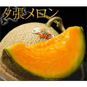 夕張メロン　北海道産 良品 2玉（1玉 約1.3kg）専用箱入 夕張市農協検査場発 ※常温 送料無料｜tsukijiichiba