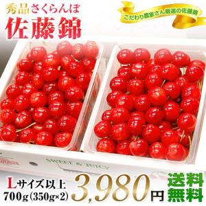 【佐藤錦】【さくらんぼ】【サクランボ】≪秀品のL以上！≫山形東根産　さくらんぼ（佐藤錦）　大粒700g（350ｇ×２）　秀品Ｌサイズ以上⇒《送料無料》3,980円