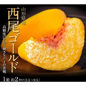 桃 もも モモ 黄桃 かたい桃 山形県産 西尾ゴールド 約2kg (5〜9玉) 秀品 送料無料