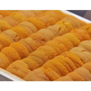 『エゾバフンウニ』弁当箱/並びA品 北方四島産 約250g　※冷蔵