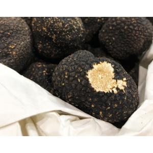 『フレッシュサマートリュフ』イタリア産　計60g前後（2〜3個）　※冷蔵