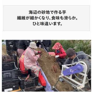 ヤマウメ謹製 紅はるかの角切り干し芋 チャック...の詳細画像5