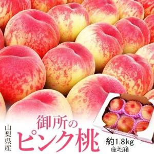 御所の桃 ピンク桃 山梨県産 1箱 約1.8kg ご自宅用 (目安：5〜6玉) 産地箱 ※冷蔵 送料無料