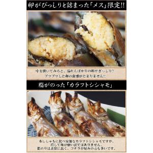 【賞味期限間近】2024/10/10 からふと...の詳細画像2