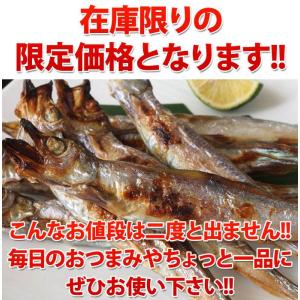 【賞味期限間近】2024/10/10 からふと...の詳細画像3