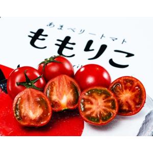糖度10度選別 ももりこトマト 徳島県産 フルーツトマト S特選 約1kg（15〜24玉）化粧箱 樫山農園 ※常温