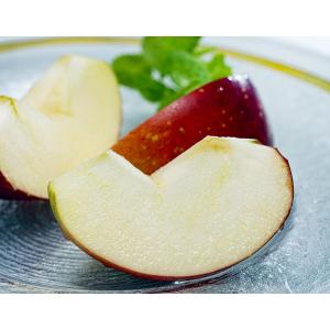 紅ロマン　岩手県産 りんご 約2.5kg（7〜10玉）簡易箱 ※冷蔵 送料無料