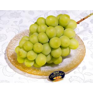 大房 晴王 シャインマスカット 岡山県産ぶどう 2房 計約1.2kg 簡易箱 ※冷蔵 送料無料